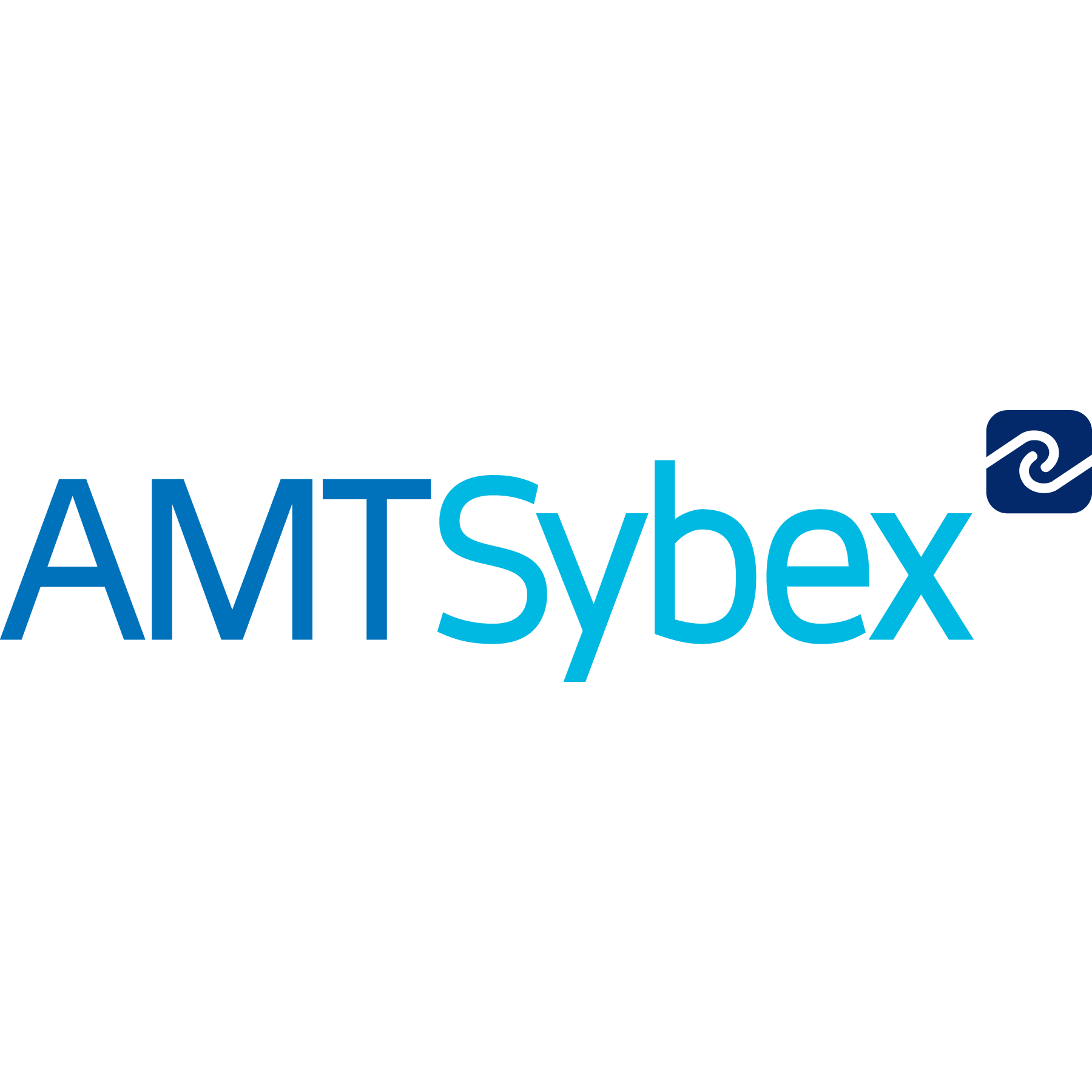 AMT Sybex
